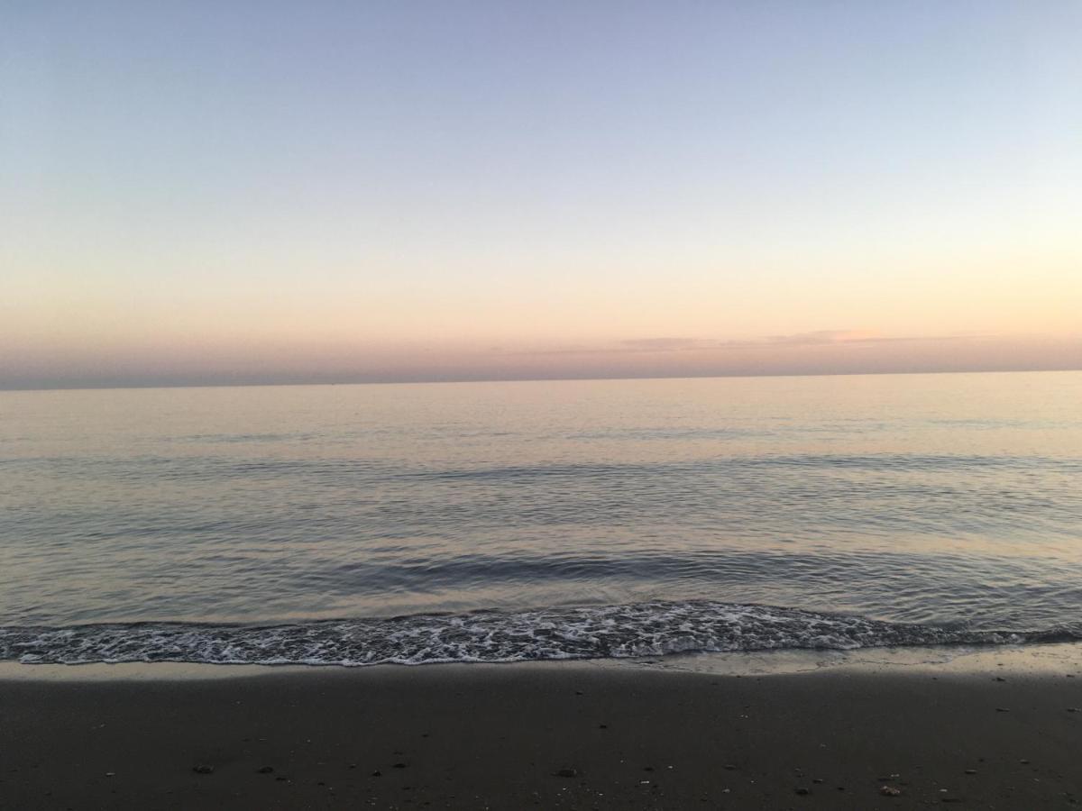 Malagueta Blue Beach Málaga Dış mekan fotoğraf